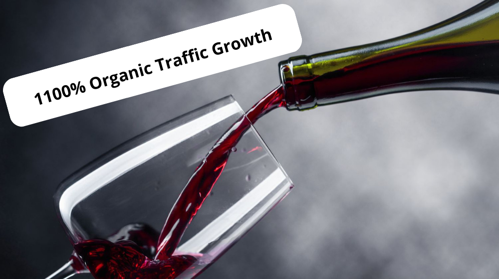 1100% organic traffic growth