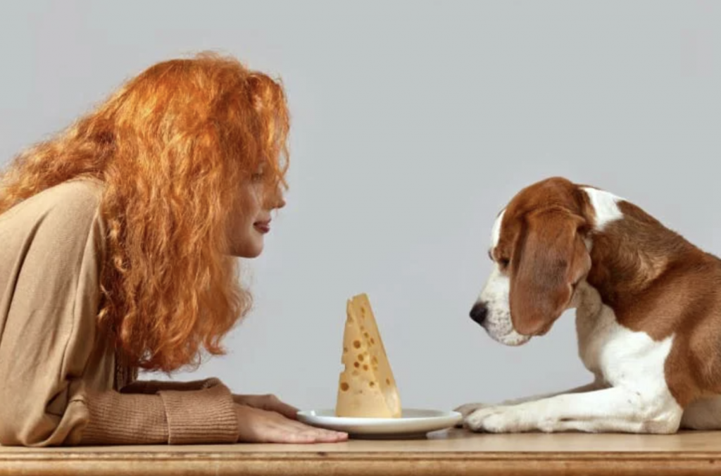 Woman offering cheese to a dog