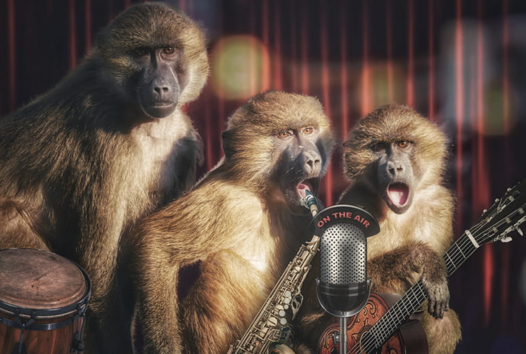 Monkeys with Guitars on the Air