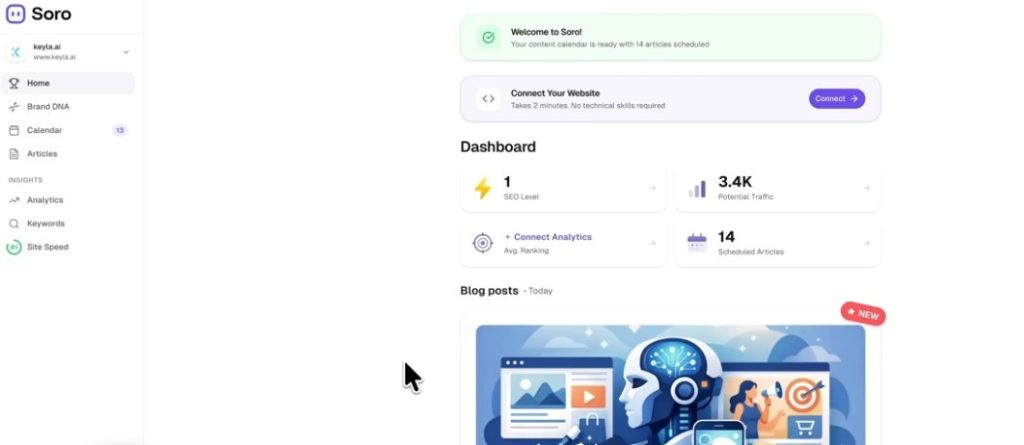 A software interface dashboard for Soro showing a sidebar.
