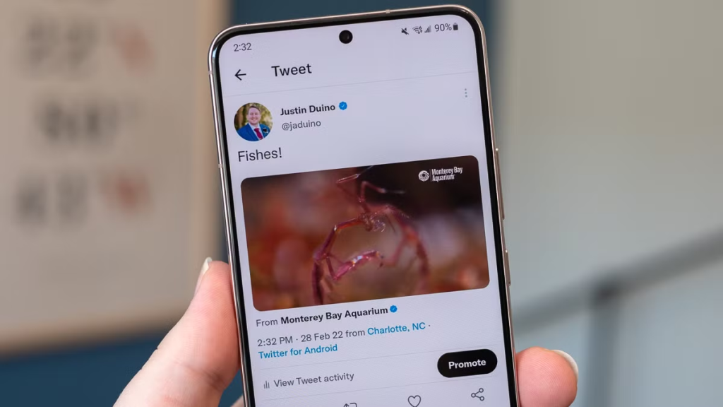 Smartphone displaying a native image post on X, illustrating in-app media upload for better reach.