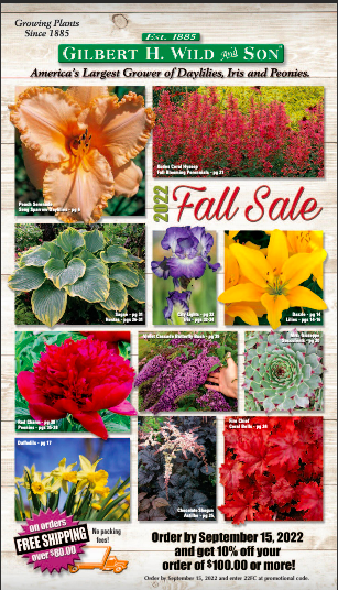 Get Perennial Irises & Daylillies For Fall Planting At Top Garden Flower Nursery
