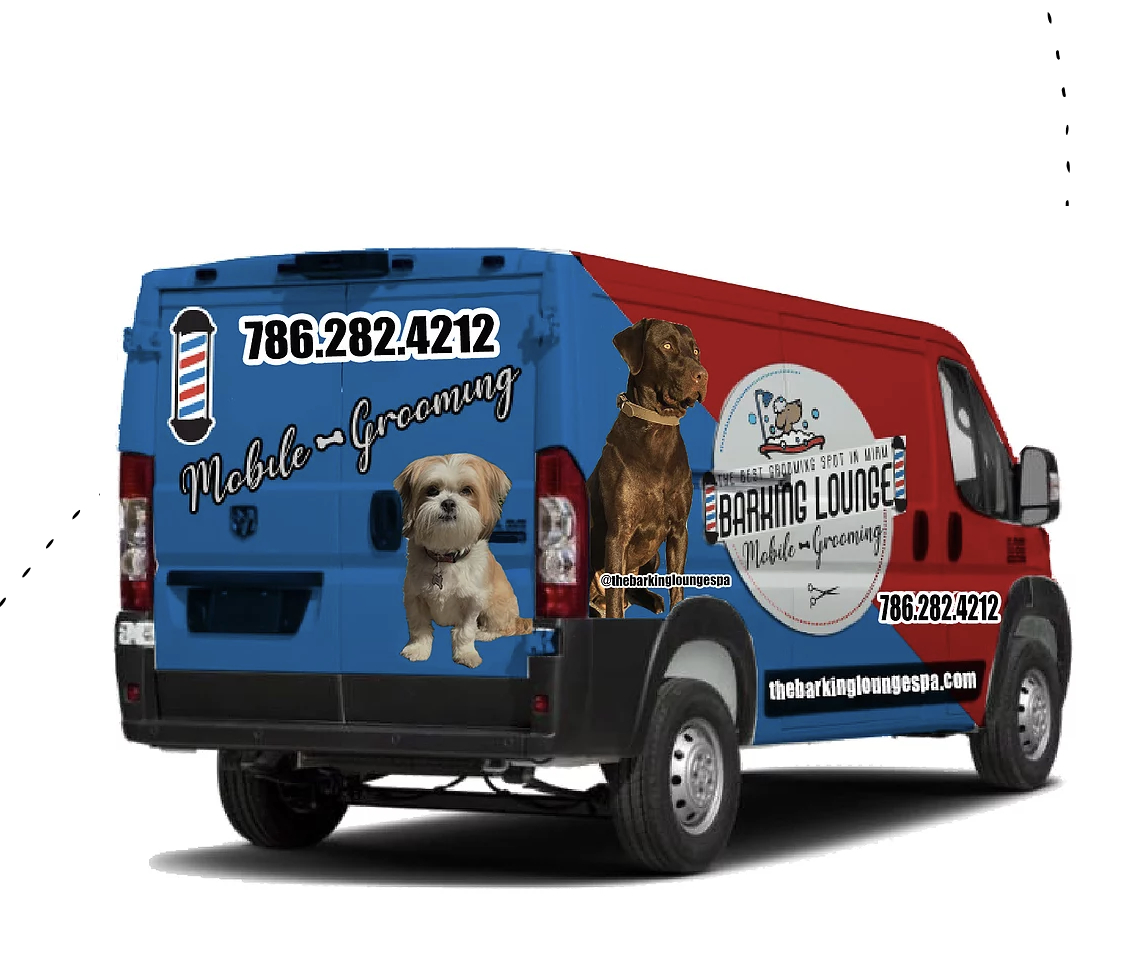 This Luxury Mobile Dog Grooming Service Keeps Miami Pooches Happy & Healthy