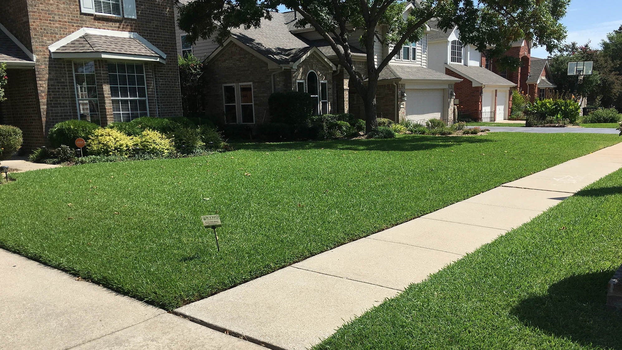 Sod Installation: North Fort Worth Lawn Care Company Explains Site Prep