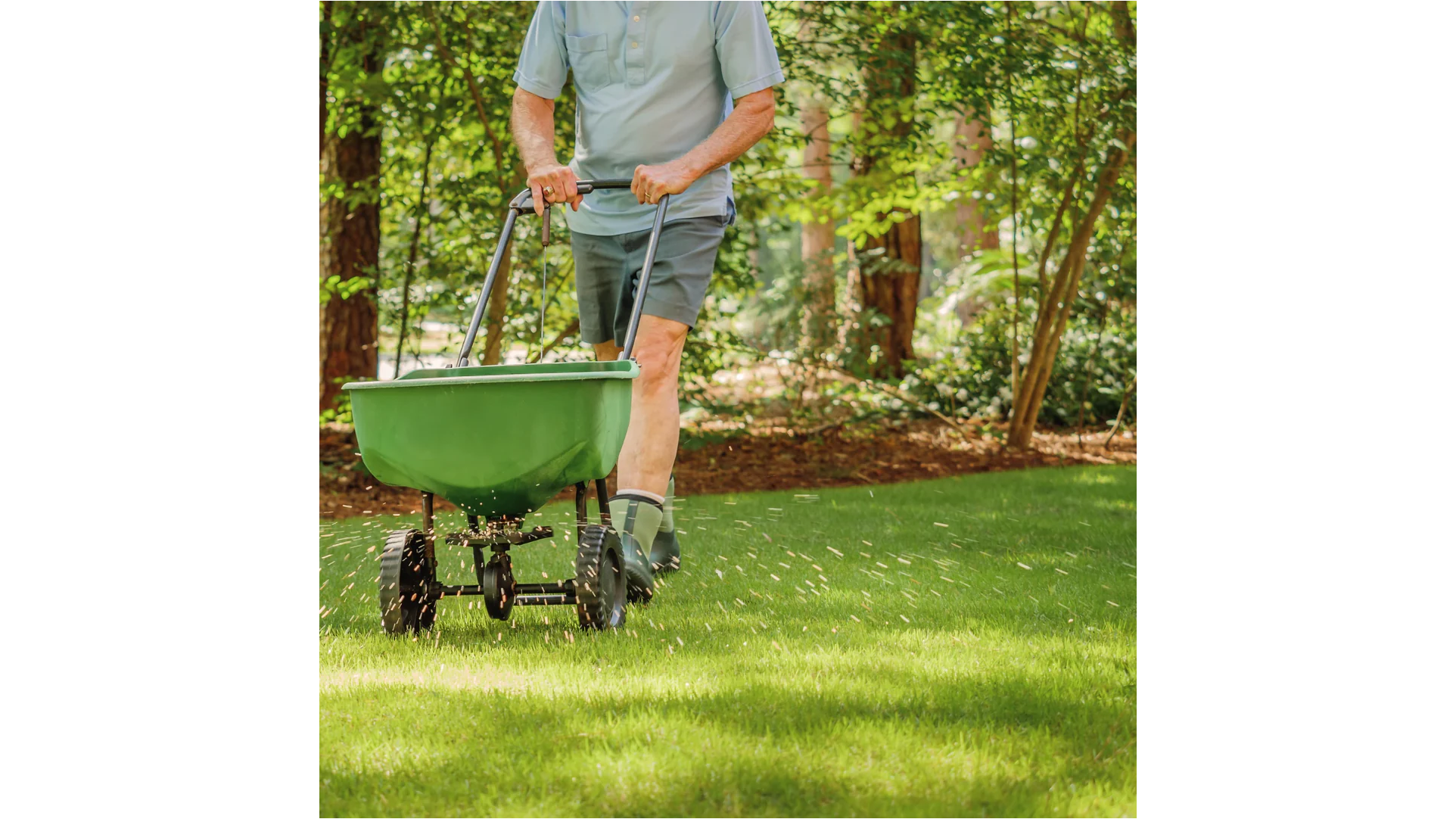 Does Liquid Soil Aeration Work? Non-Mechanical Options For Lawn Care Explored