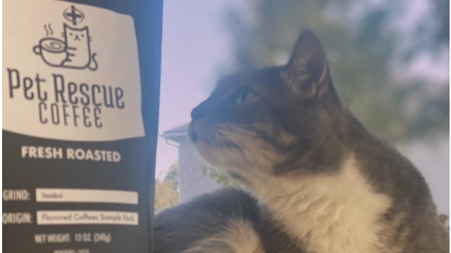 Coffee with a Cause - Saving Animals