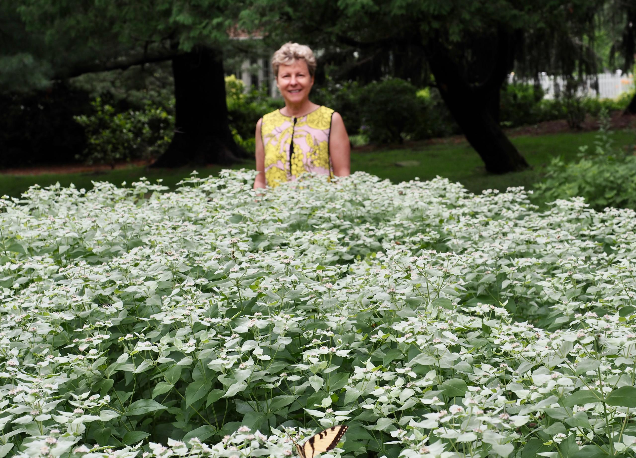New Jersey Skincare Company's Pollinator Garden Helps Sustain The Environment