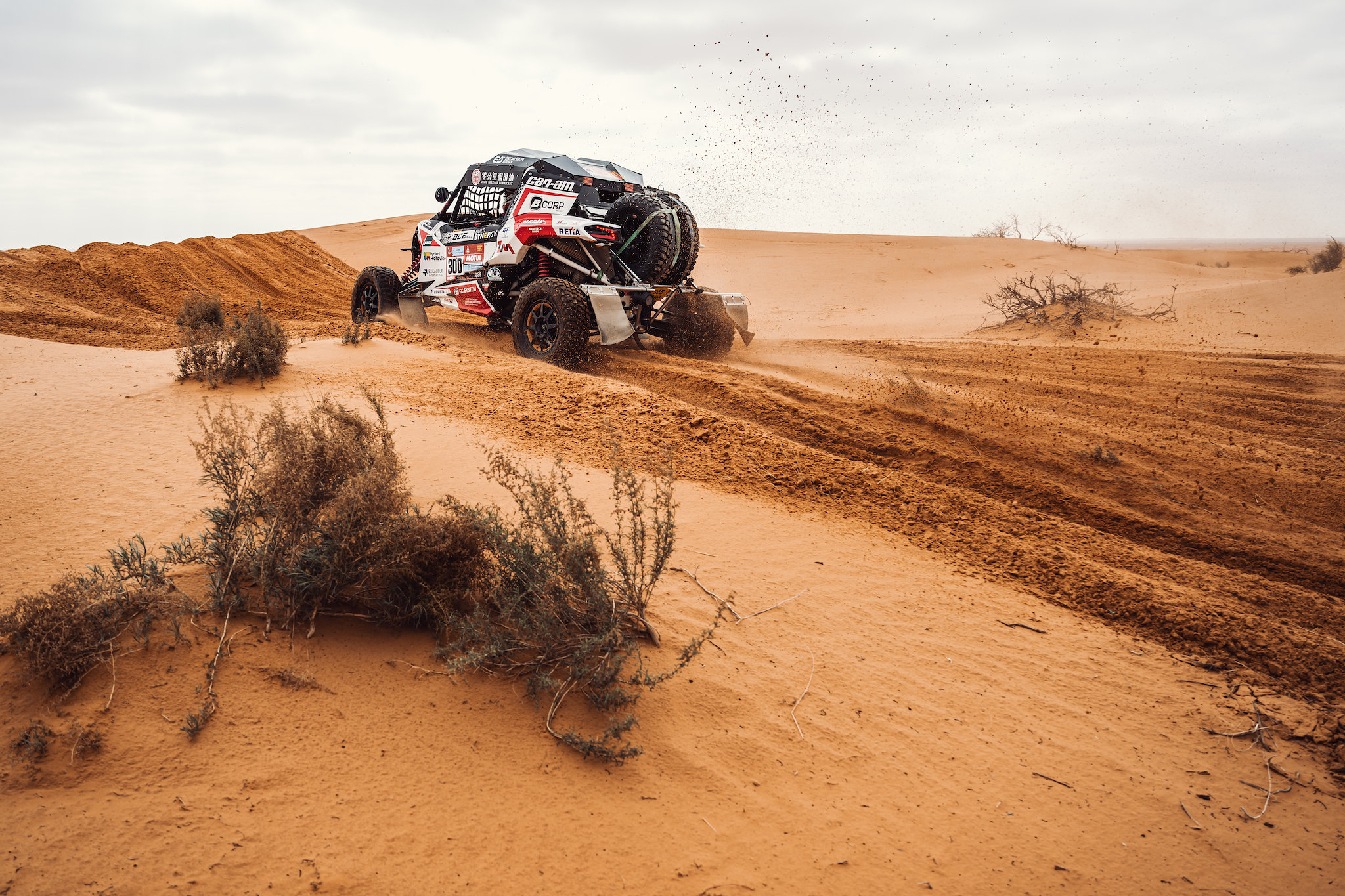 Martin Koloc: Two Buggyra cars are in TOP 10 of Dakar Rally