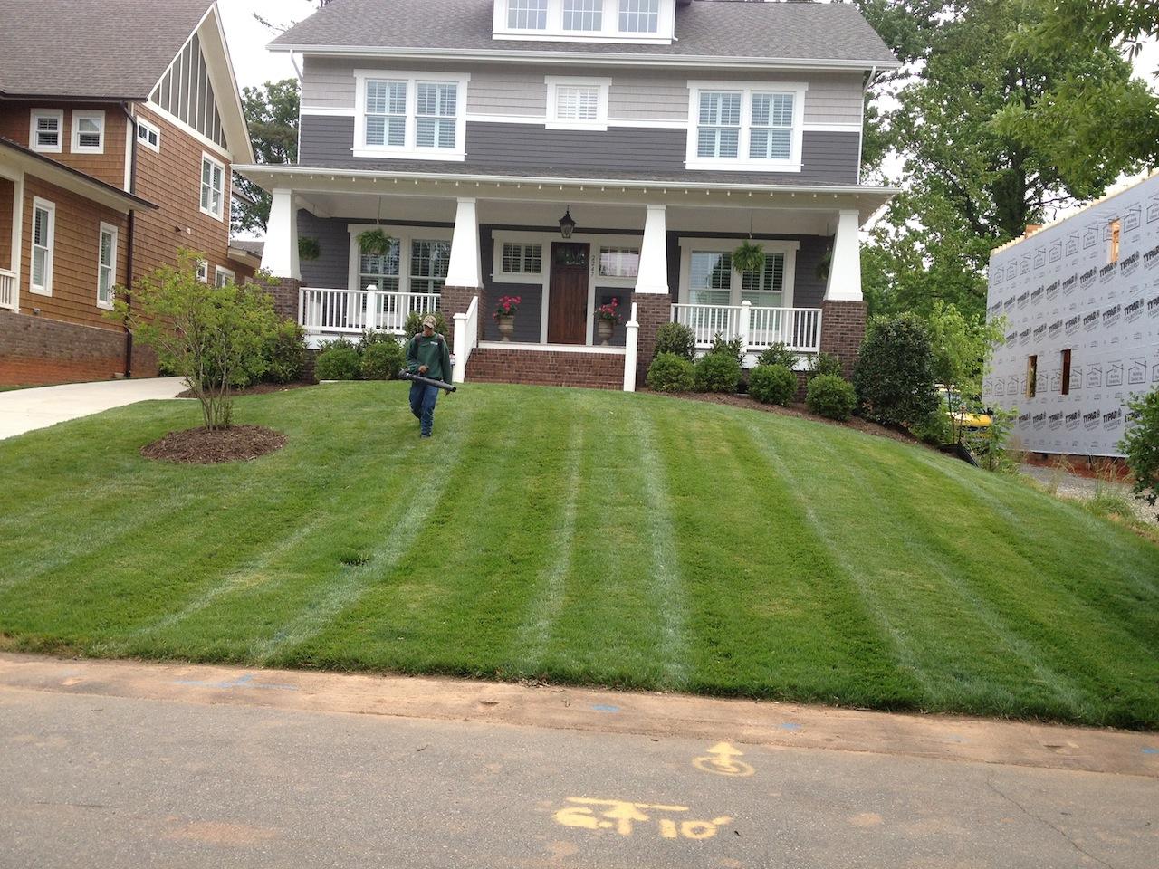 Keep Your Lawn Healthy With This Top Charlotte, NC Landscape Maintenance Service
