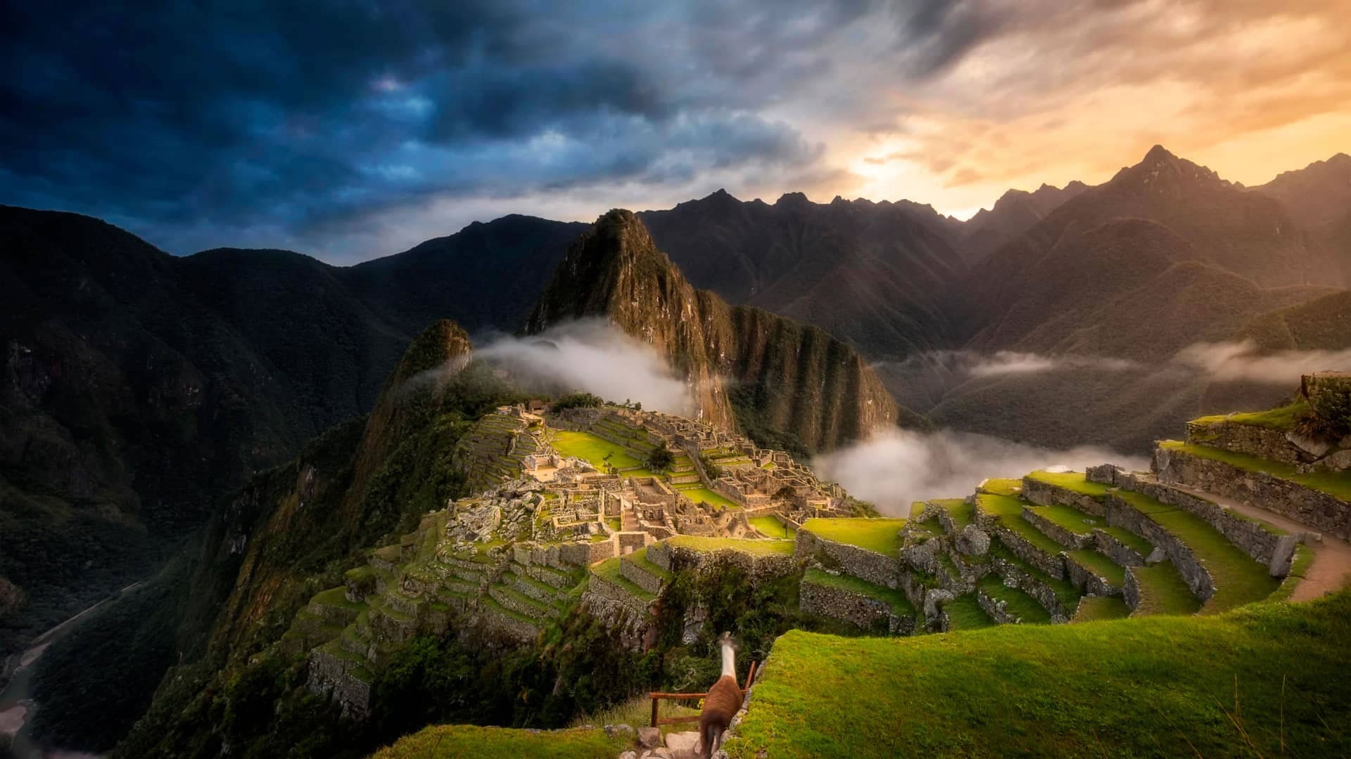 Inca Rail's Sunset at Machu Picchu Tour with Stunning Afternoon Views