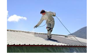 Roof Painting in Dunedin: How to Pick the Right Roof Painter