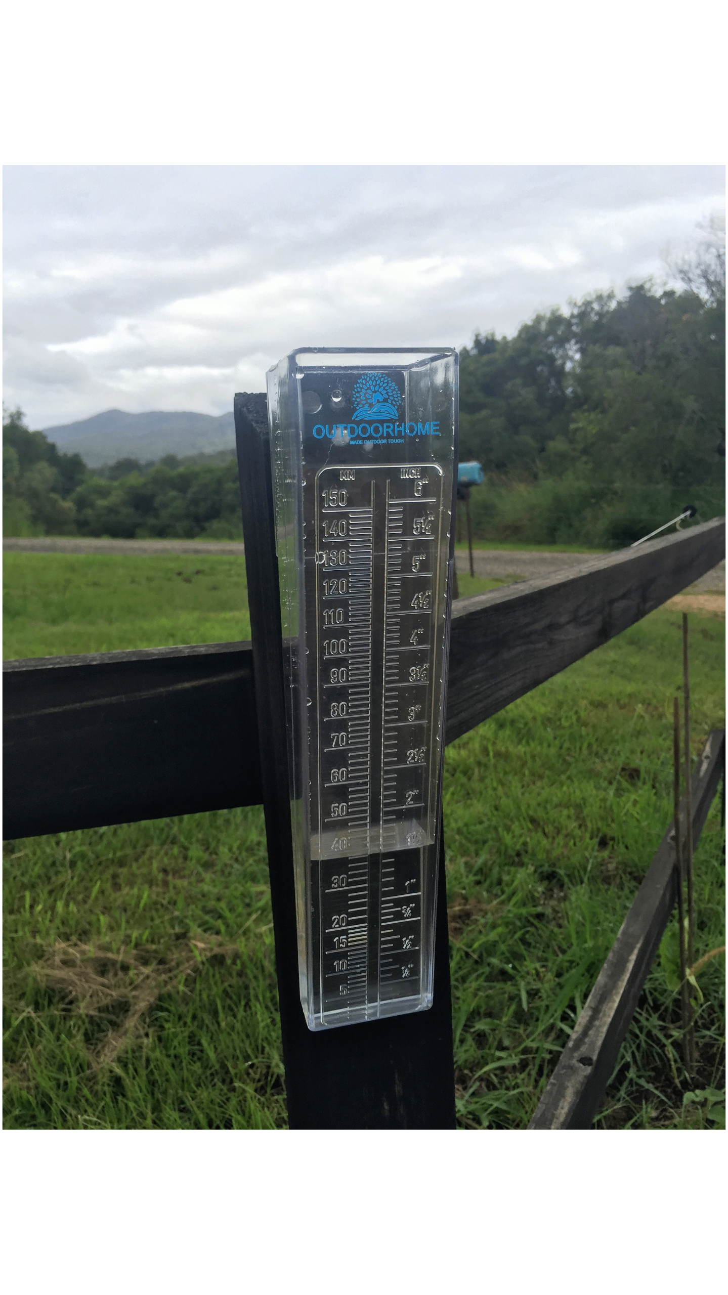 How Accurate Rainfall Tracking Can Transform Your Garden Care Routine