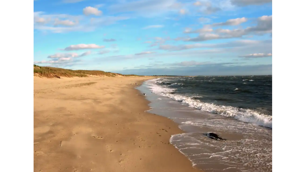 Discover Beaches With Best Co-Work Spaces For Digital Nomads In Cape Cod