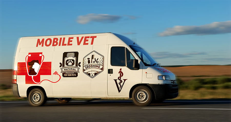 A Complete Guide To Mobile Veterinary Services