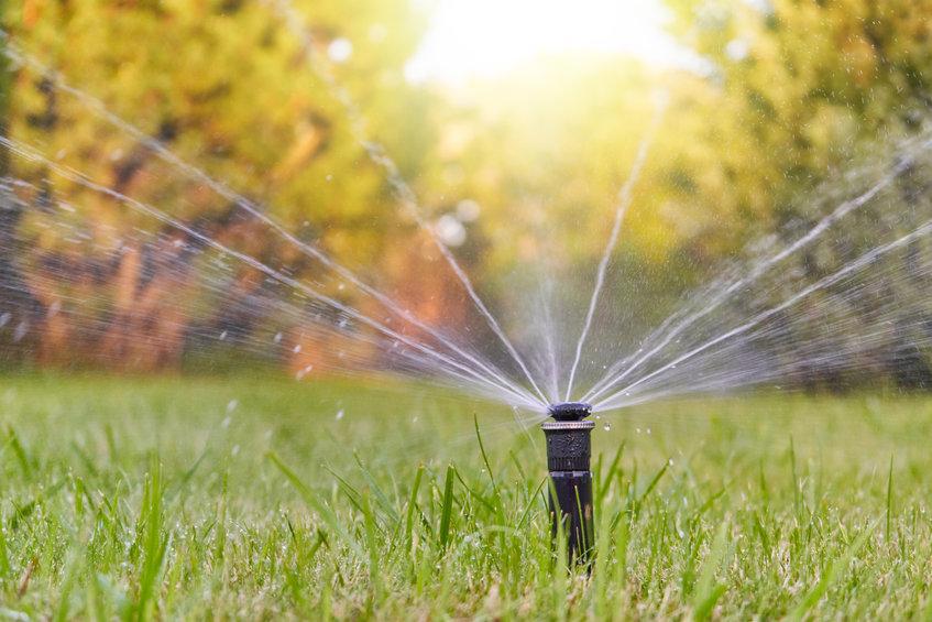 Get Lawn Watering Tips For Green Grass From This North Texas Lawn Care Company