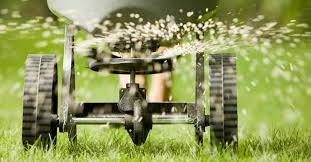 Maintain Your Lawn With Top Fitchburg, WI Yard Care & Hedging Professionals