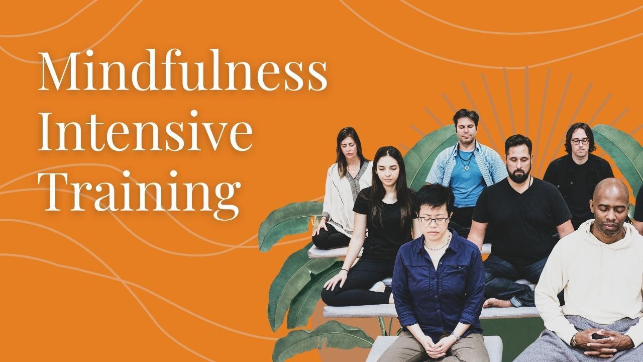 Register now for Mindfulness Training and deepen your practice with MNDFL