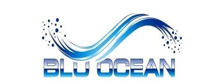 Blu Ocean Innovations Releases Strategy to Improve Online Reputation.