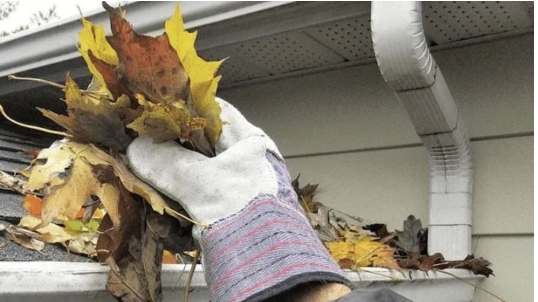 Gutter Cleaning Schedule Guide for Middlesex County Homeowners (With Pro Tips)
