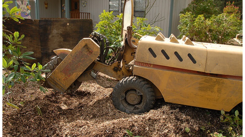 Best Riverton, UT Tree Care Professionals Offer Garden Shrub Landscaping Help