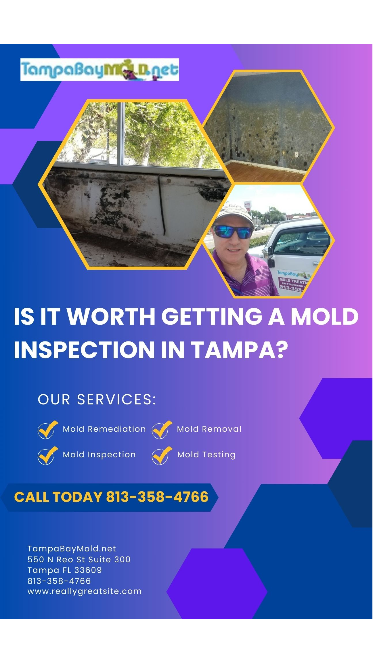 Benefits & Importance of Having A Mold Inspection In Tampa Bay
