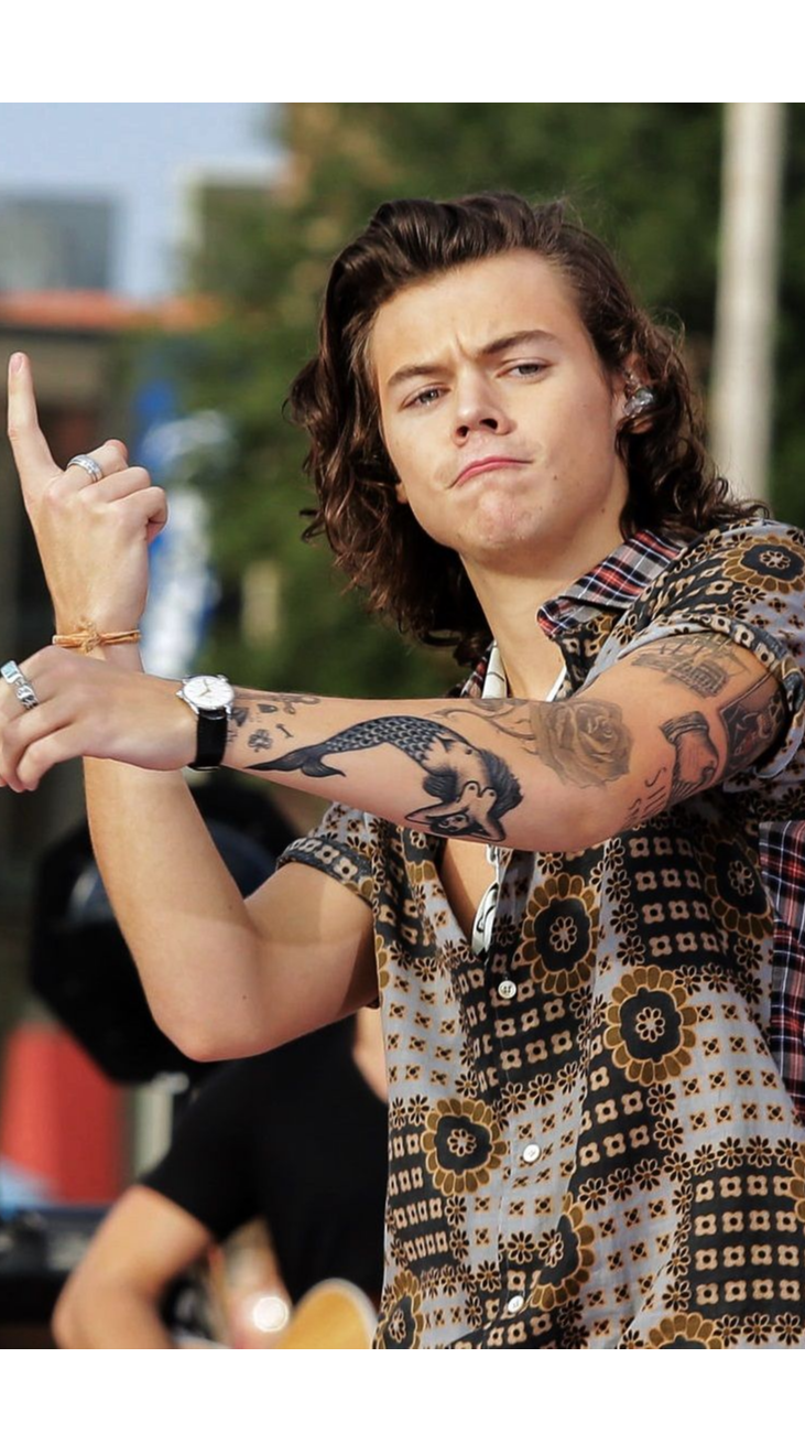 Harry Styles' Favorite Tattoo Artist Talks About His Next Tat- PopStarTats