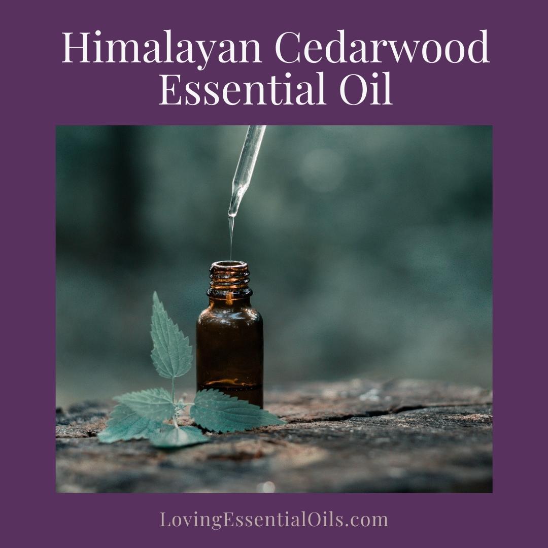 Cough Relief With Himalayan Cedarwood Essential Oil: Diffuser & Roller Blends