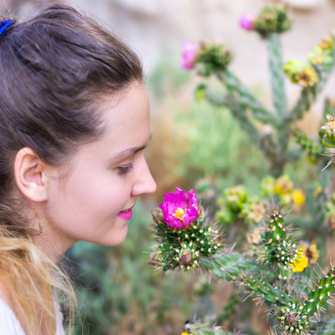 Get Help From These Substance Abuse & Mental Health Specialists In Santa Fe, NM