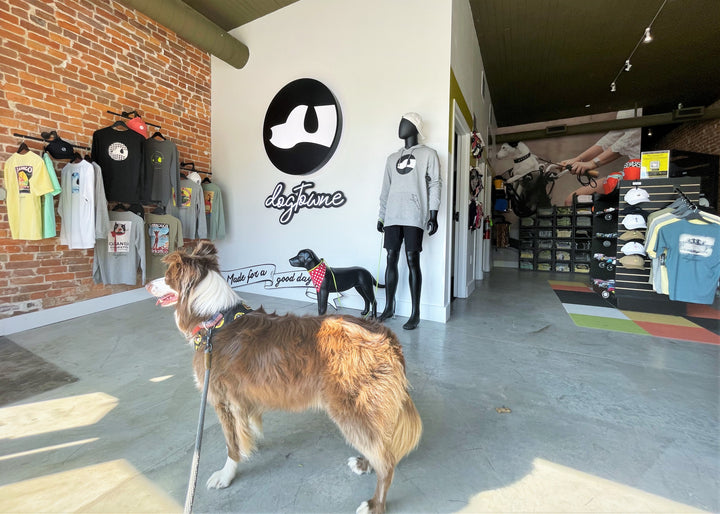 Top Vintage-Inspired Clothing & Dog Accessories From North Little Rock, AR Brand