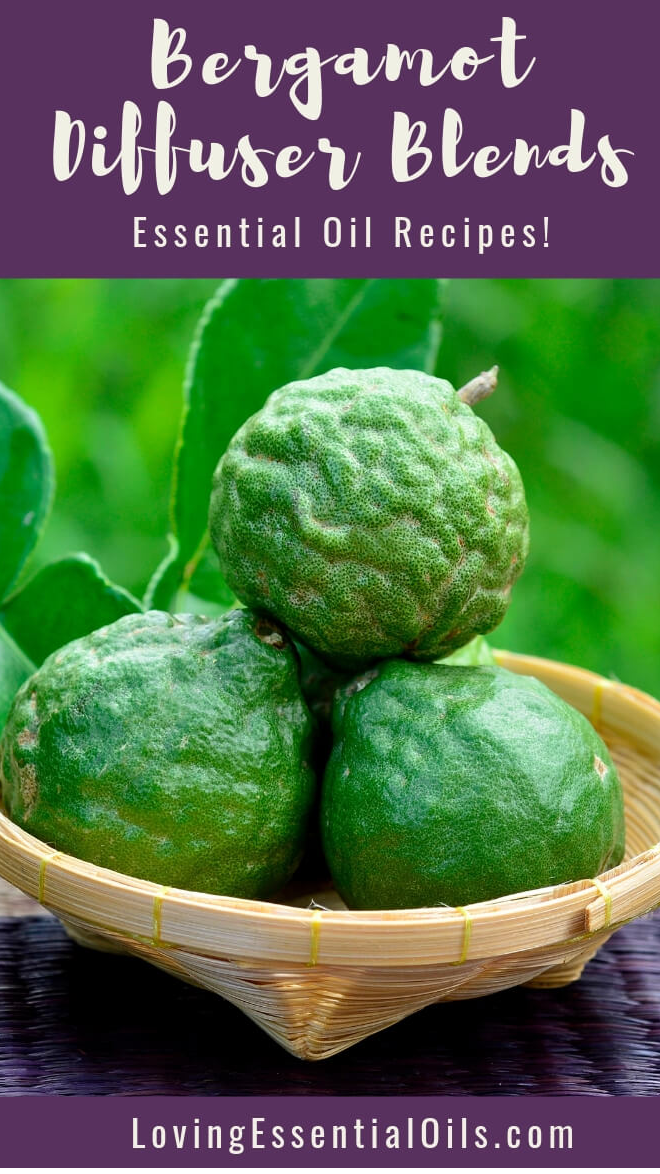 DIY Bergamot Essential Oil Diffuser Recipe Guide By Certified Aromatherapist