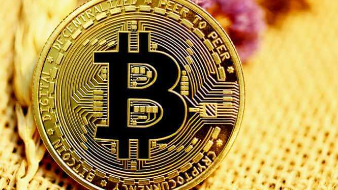 What Is Bitcoin Halving? Learn How To Predict BTC Price Rises For Investment