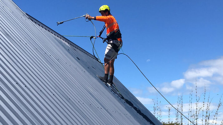 Renew Your Home's Look with House Painting Hamilton's Roof Painting in Hamilton.