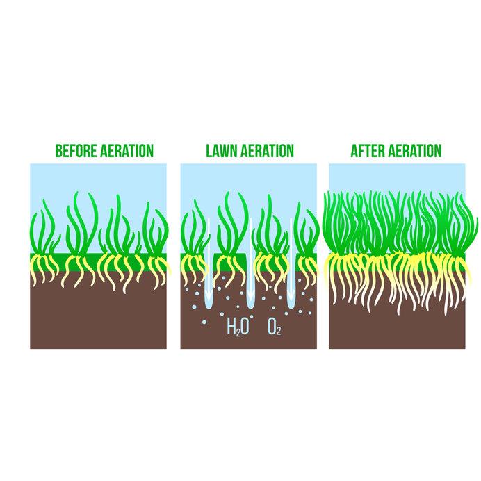 Improve Grass Health & Soil Nutrients With The Best Lawn Aeration In Lewisville