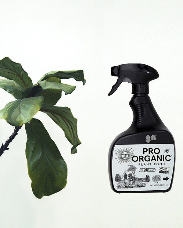 A 100% Organic Plant Food Spray Is Launched with Subscription Option