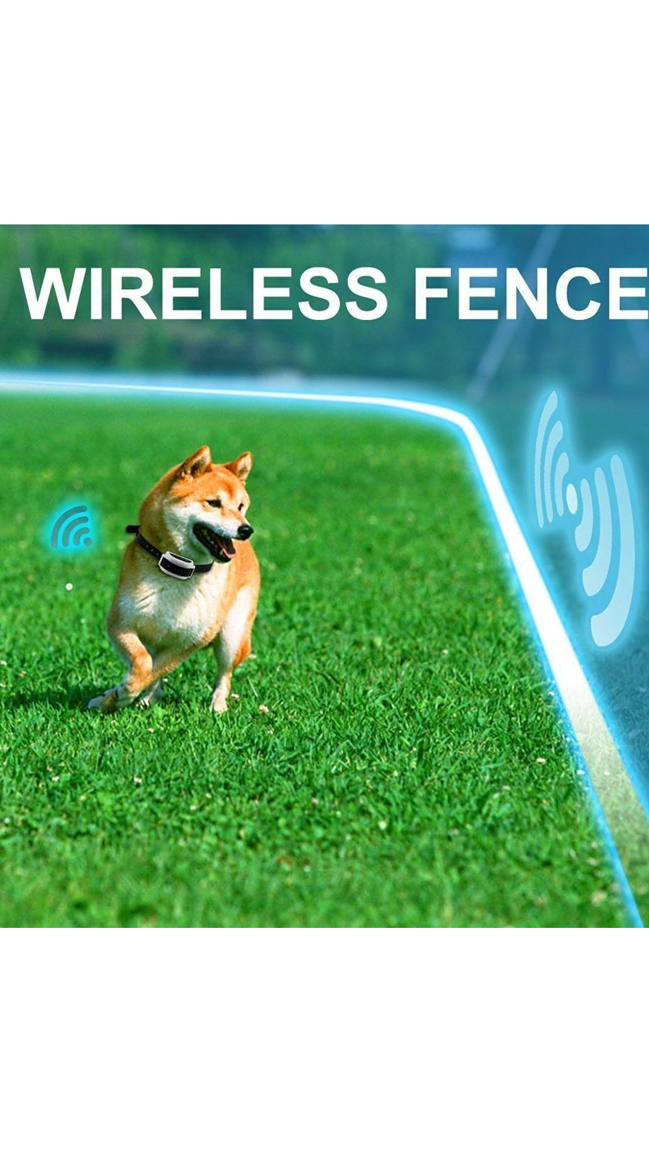 Wireless Dog Fence: An Ultimate Way to Make Your Furry Baby Safe and Happy