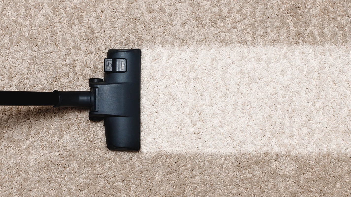 Fort Worth, TX Carpet Cleaning Specialists Offers a More Sanitary Solution