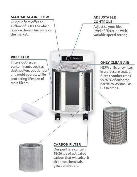 HEPA/ULPA Differences: Discover The Best Air Purification Solution For You