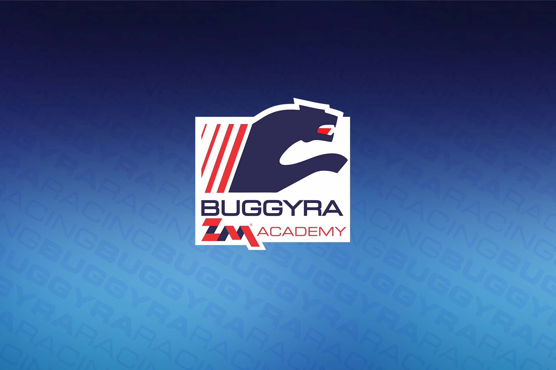 The first three successful years of Buggyra Academy are over. This year will be full of challenges!