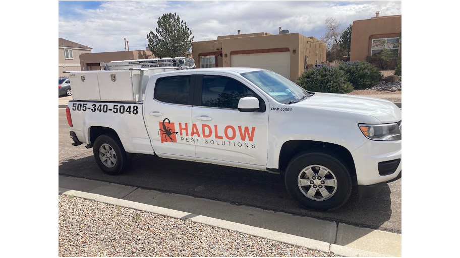Scorpion Hiding Areas: Desert Southwest ACE Reveals High-Risk Zones