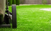 Get Weeding & Edging For Your Grapevine Yard With Best Lawn Care Contractor