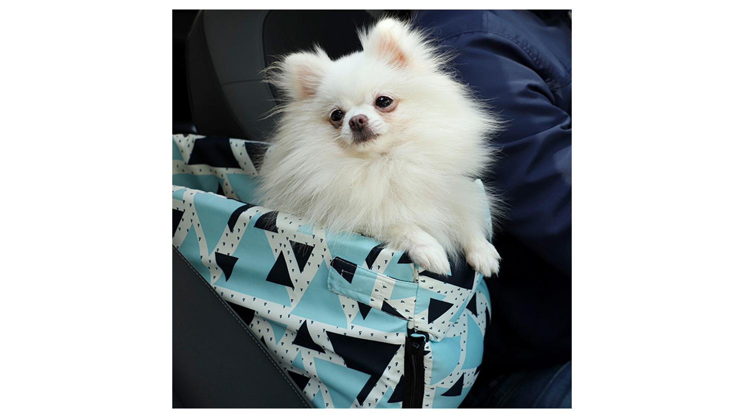 Pet Seat Car Booster Bed Supports Dogs When Traveling | Order From USA Supplier