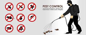 Palmerston Pest Business