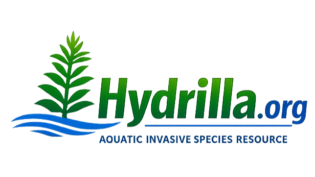 Hydrilla Tuber Dormancy: Resilience Mechanism Persisting 3-10 Years