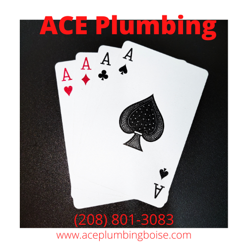 Emergency Plumber Ace Plumbing Gives to Boise Seniors and Veterans with Discount