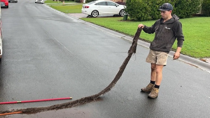 Get The Best Terracotta Sewer Pipe Jet Blasting For Tree Roots In Beecroft