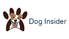 Learn How To Identify & Treat Fleas & Ticks On Your Dog From This Guide