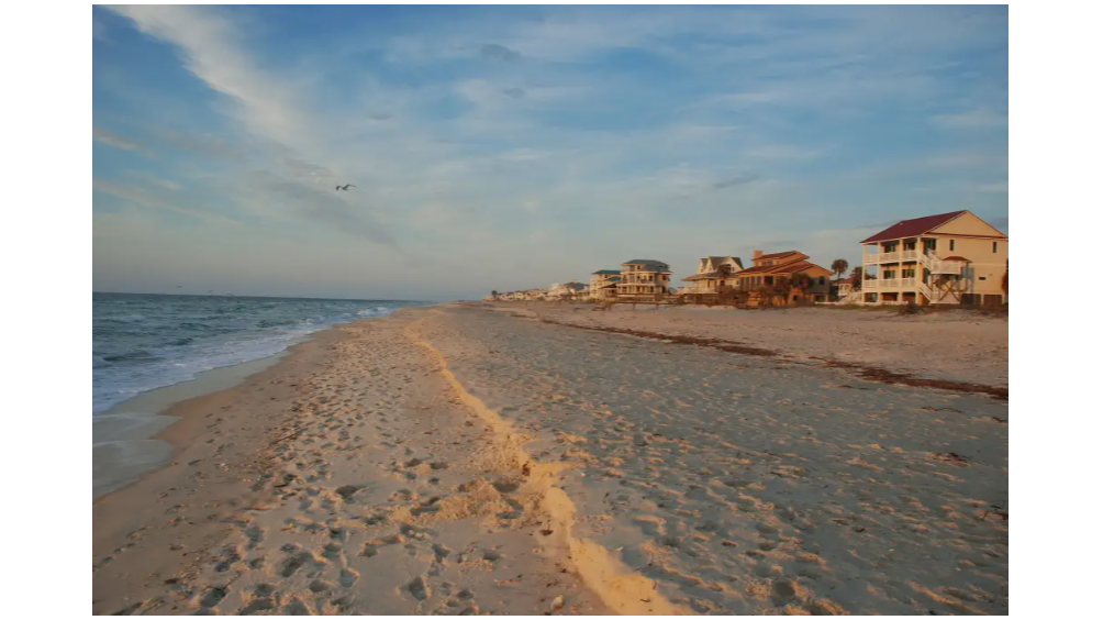 Discover The Best Beach Destinations On St George Island, FL For Remote Working