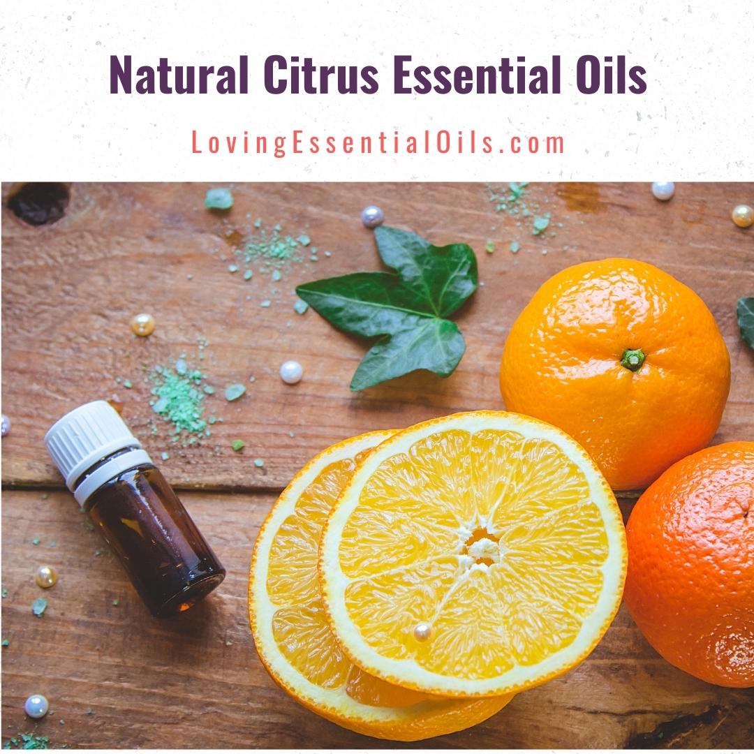 Curious About Essential Oils? This Guide Explains The Benefits Of Lemon & Lime
