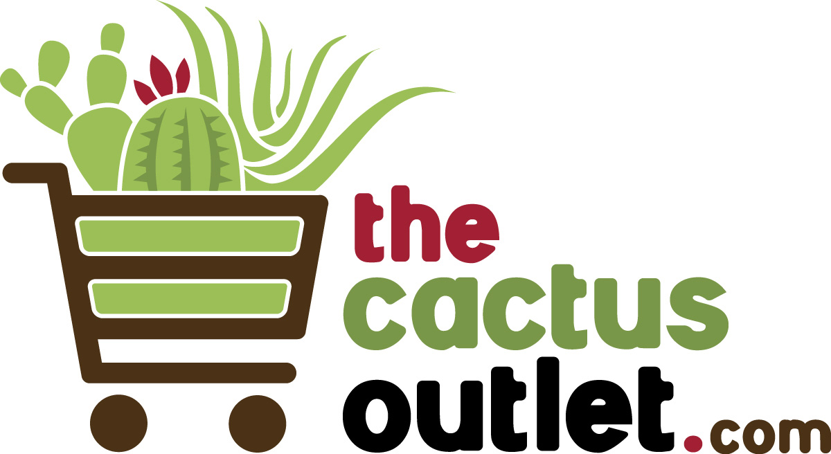 This US Cactus Nursery Offers Rare & Large Agave, Aloe & Prickly Pear Plants