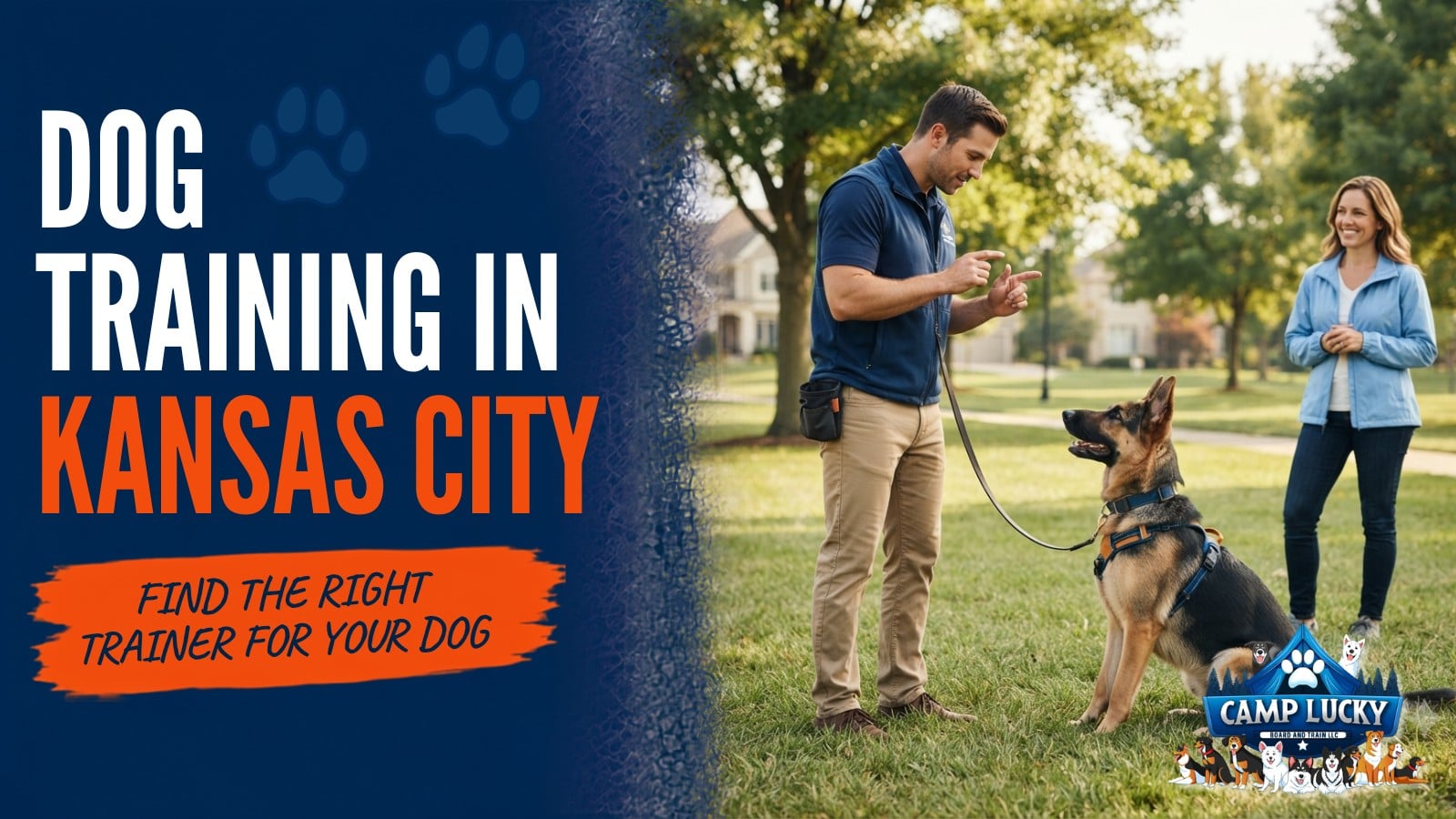 Dog Training Kansas City: How Board and Train Solves Real Behavior Problems